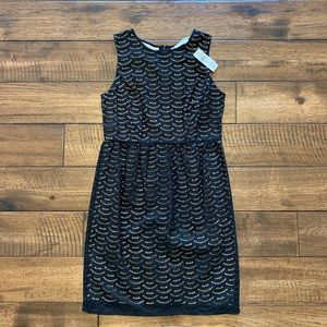 NWT sheath dress